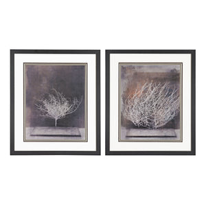 DESERT FORM V, VI - PRINT UNDER GLASS 151-003/S2 Elk Home