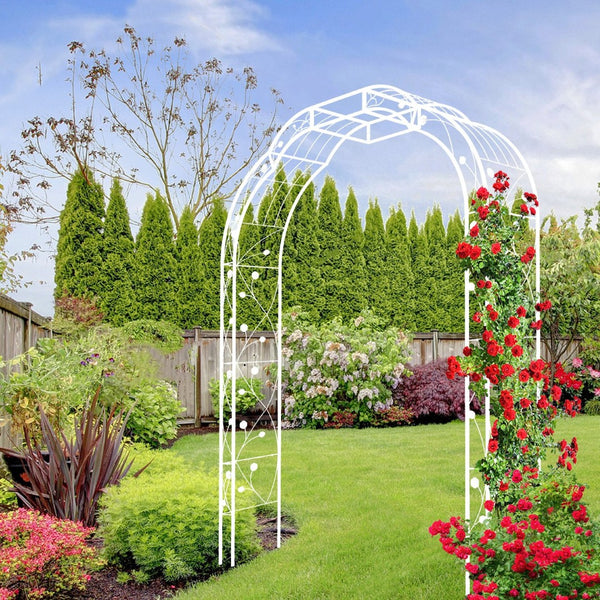 English Elm Metal Garden Arch Powder Coated Steel Trellis for Climbing Roses Outdoor Weddings Cream White W1586P268771