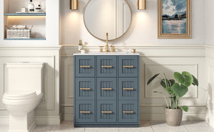 English Elm 30inch Bathroom Vanity with Undermount Sink, Tip-Out Tray, Soft-Close Doors, Spacious Drawers & Handles Blue N710P331580C