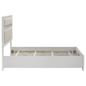 English Elm Annie Glam Queen Bed Glittering Stripe Upholstered Headboard Padded White Panel Frame B062S01599