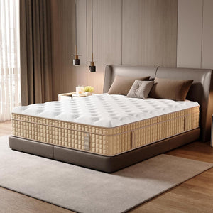 English Elm Queen Hybrid Mattress 12 Inch Gel Memory Foam Pocket Springs 7 Zone Support B2716P404415