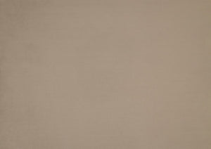 English Elm Mid-Century solid wood frame accent chair with textured fabric upholstery, walnut finish and plush foam cushioning Light Brown 33 L x 26 W x 15.5 H B011P256601