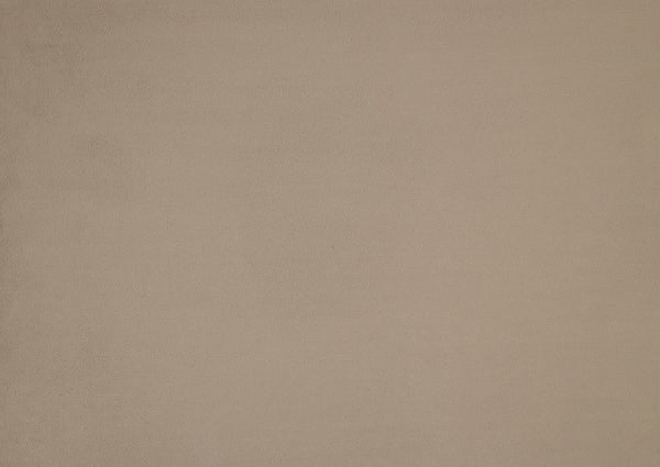 English Elm Mid-Century solid wood frame accent chair with textured fabric upholstery, walnut finish and plush foam cushioning Light Brown 33 L x 26 W x 15.5 H B011P256601