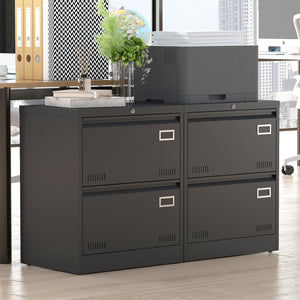 English Elm 2 Drawer Locking Metal File Cabinet Matte Black Powder Coat for Modern Home Office W1247P160450