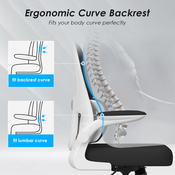 English Elm Soohow Mesh Ergonomic Office Chair with Lumbar Support, Flip Armrests, Breathable Comfort & Tilt Adjustability Black,White T3623P380860