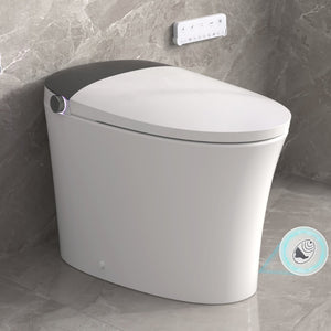 English Elm Elongated Smart Bidet Toilet Ada Height Ceramic Dual Flush with Heated Seat Night N753P364980W