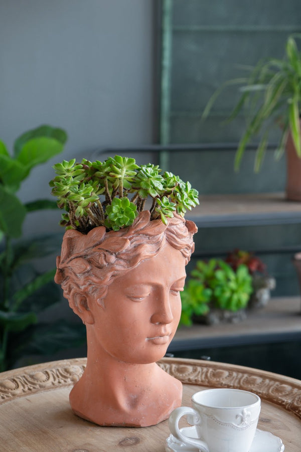 English Elm D6x9" Visage Head Bust Planter Brown — Antique-Inspired Ceramic Sculpture for Plants, Stylish Home Accent W2078P201042