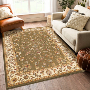 English Elm Classic Traditional All-over Patterned Low Pile Area Rug for Living Room or Dining B186P452265