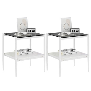 English Elm Set Of 2 Modern Rectangle End Tables With Gray Tempered Glass Top And Mdf Storage Shelf For Living Rooms W241P184250-GIGA