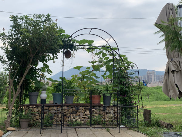 English Elm Garden Arch Arbor Trellis With Gate - Durable Metal Design For Climbing Plants, Weddings & Patios W840P321539
