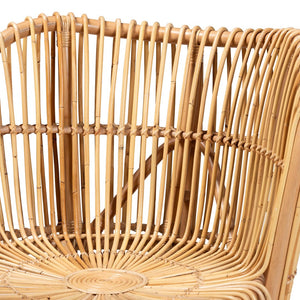 English Elm Bohemian Braided Rattan Accent Chair with Cushion for Casual Living Spaces B2750P467678