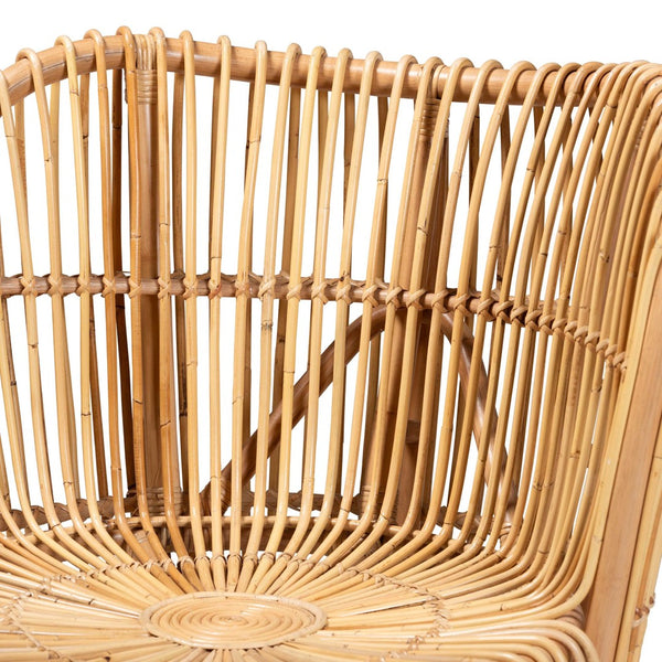 English Elm Bohemian Braided Rattan Accent Chair with Cushion for Casual Living Spaces B2750P467678