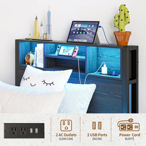 English Elm Twin Metal Platform Bed with Storage Headboard, RGB LED Lights, USB Charging, Under-Bed Space W840P201065