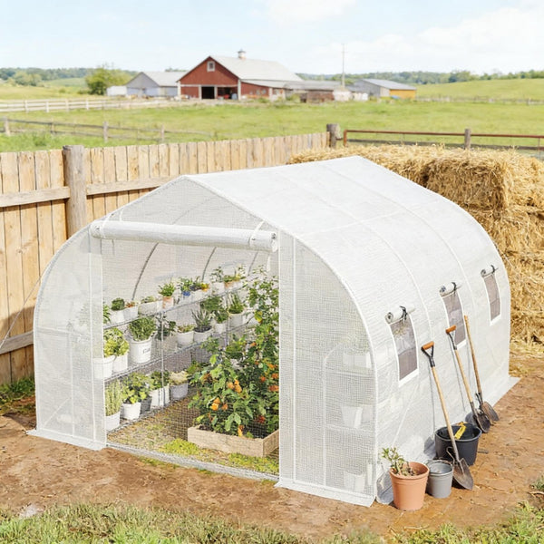 English Elm Garden Walk-in Tunnel Greenhouse with Galvanized Steel Frame and Uv-resistant Pe Cover White T3971P481639