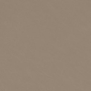 Ruge Dining Chair Set of 2 - Stylish Beige Vinyl, Modern Design for Elegant Dining & Lounge Spaces