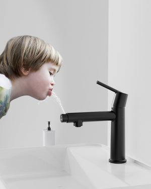 English Elm Matte Black Single Handle Bathroom Faucet – Dual Flow Modes, Compact Design For Easy Installation! T3177P289659