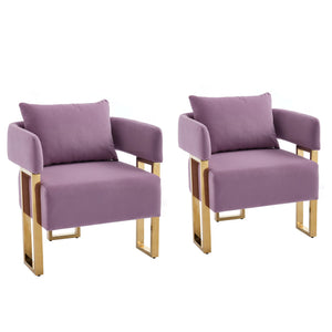 English Elm TS Modern decorative chair Lilac - Teddy fleece velvet 2PCs, gold legs, ergonomic sponge comfort, chic W2311P333677
