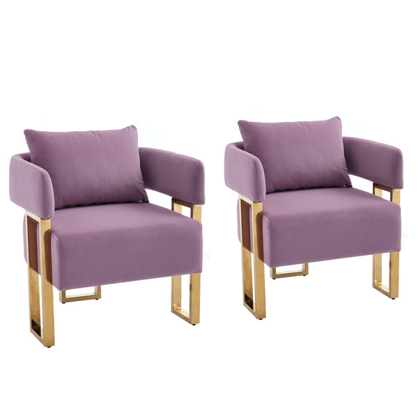 English Elm TS Modern decorative chair Lilac - Teddy fleece velvet 2PCs, gold legs, ergonomic sponge comfort, chic W2311P333677