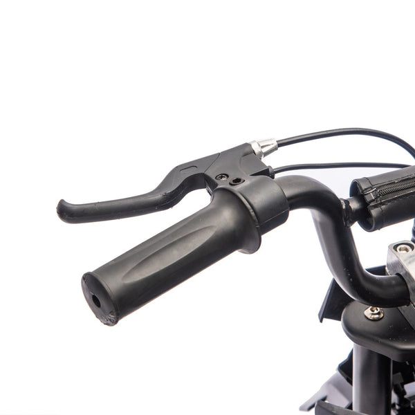 English Elm 24v 250w Kids Off-road Electric Motorcycle with Led Lights Bluetooth and Rear Suspension W1578P203984