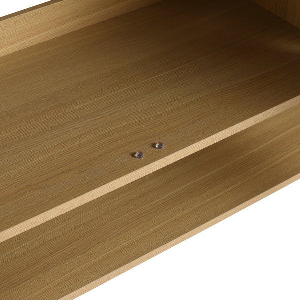 English Elm 48" Modern Freestanding Bathroom Vanity Cabinet, 3 Soft-Close Doors, KD Packing, No Sink Included W1972P199462