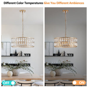 English Elm 18" Golden Modern Crystal Drum Chandelier, 6-Light K9 Pendant with Adjustable Chain & Corrosion-Resist Frame W2312P374967
