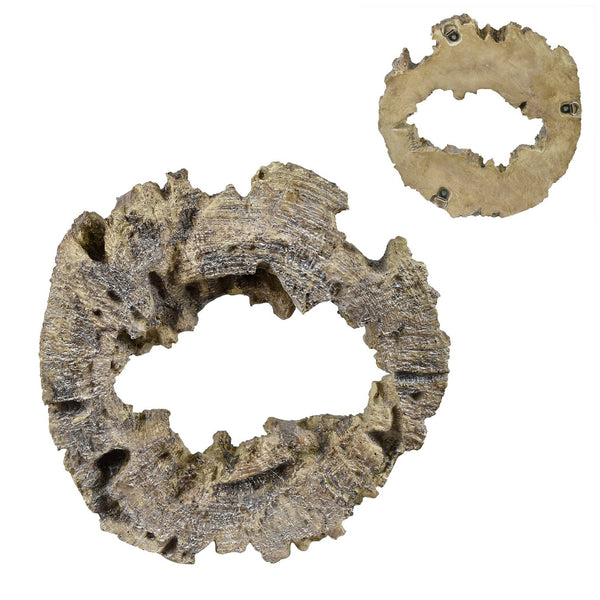 Crestview Collection Tripp Wall Decor - Stunning Crestview Design Crafted In Elegant China For Timeless Home Style   Cvtwa1502brown