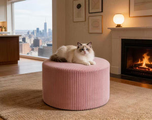 English Elm Corduroy Cube Ottoman Ribbed Upholstery Footrest for Living Room or Bedroom Seating Pink B2748P476015