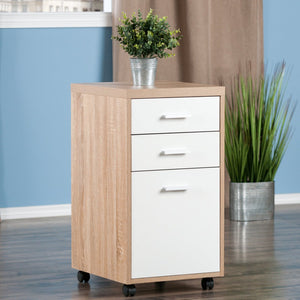 Winsome Wood Kenner 2-drawer File Cabinet With Reclaimed Wood Finish & Locking Casters For Home Office Storage Reclaimed Wood ,White Composite Wood 18316-winsome-wood