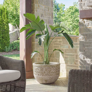 Uttermost Regalia Scrolled Embossed Stone Finish Bowl Planter for Patio or Foyer
