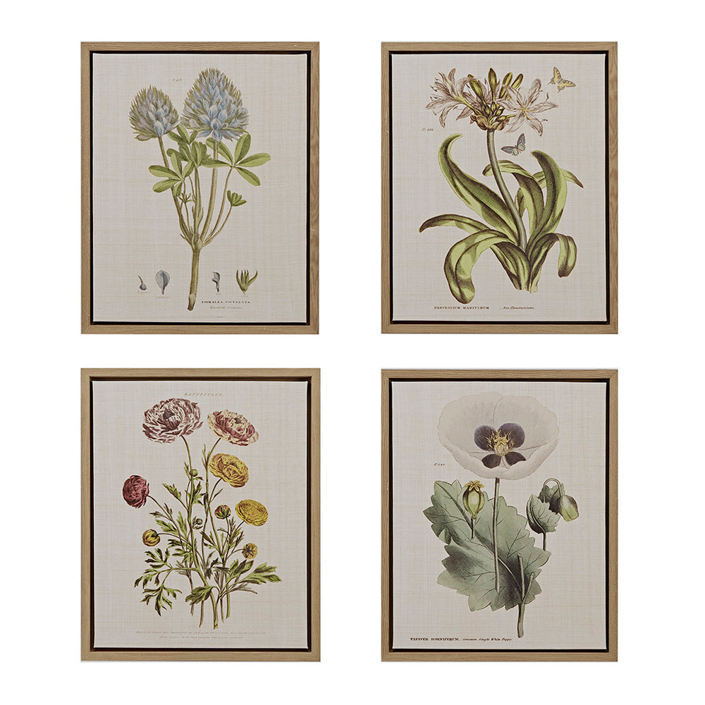 JLA Home Madison Park - 4-piece Vintage Botanical Framed Canvas Set — Linen-Texture Prints in Warm Wood Frames for Gallery Décor MT95C-0006