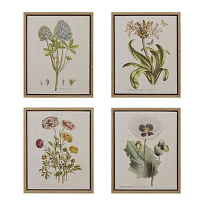 Martha Stewart Herbal Botany Transitional 4-piece Botanical Illustration Framed Canvas Wall Art Set MT95C-0006 Green