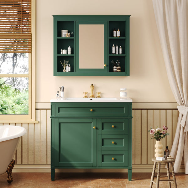 English Elm 36'' Modern Bathroom Vanity With Resin Sink, Mirror Cabinet, Soft-Close Drawers & 6 Shelves N710S236006F