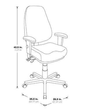 OSP Home Furnishings Professional High Back Ergonomic Office Chair with Lumbar Support and Padded Adjustable Arms Black EC4300-R107