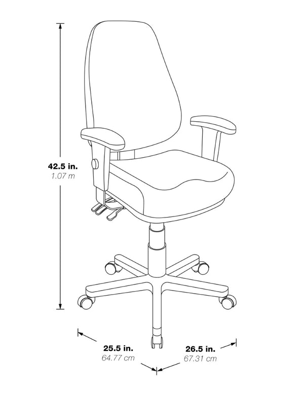 OSP Home Furnishings Professional High Back Ergonomic Office Chair with Lumbar Support and Padded Adjustable Arms Black EC4300-R107