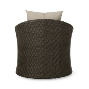 English Elm Outdoor Wicker Swivel Accent Chair with Aluminum Frame for Patio Resort Lounging N757P410822B