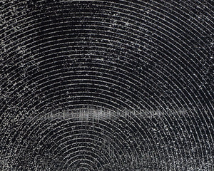 Sunpan Opposites Attract Wall Art Set - Luxe 3D Textured Canvas Diptych with Charcoal Wood Frame, 40"x60"