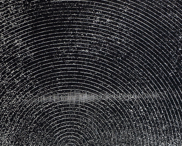 Sunpan Opposites Attract Wall Art Set - Luxe 3D Textured Canvas Diptych with Charcoal Wood Frame, 40"x60"