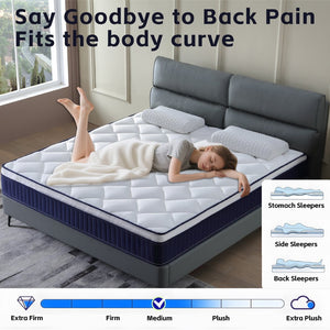 English Elm Alwyn Home Gel Memory Foam Hybrid Mattress with Pocket Coils for Pressure Relief W3203P293165