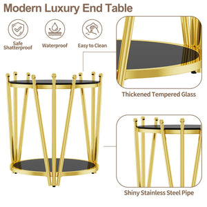English Elm 19.69inch Gold Round Coffee Table with Crown Frame, 8mm Tempered Glass, Stainless Steel Base, Chic Storage Black W1550P171469