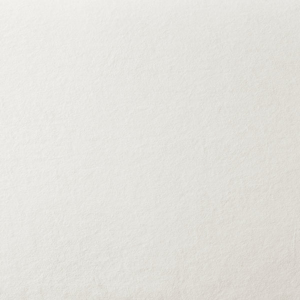 New Pacific Direct Marsha Velvet Bench Dainty Cream 53 x 19.5 x 23.5