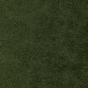 Matteo Velvet Accent Arm Chair Dainty Green, Green 1900211-620 New Pacific Direct