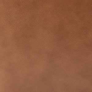 Tiffany Top Grain Leather Accent Arm Chair Garrett Caramel, Brown 1900223-685 New Pacific Direct