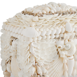 Boardwalk Exquisite Victorian Shell Jewelry Box with Handmade Coastal Design for Elegant Storage
