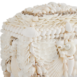 Boardwalk White Shell Jewelry Box