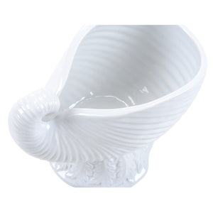 Wildwood Concha Nautilus Cachepot In Light Aqua Glaze—Sculptural Ceramic Planter & Decorative Centerpiece, 10"H White/Cream 193073