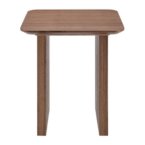 Caden 20" Side Table in Walnut 19766-WAL EuroStyle