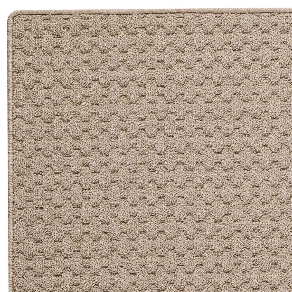 Capel Rugs Grassy Mountain Rug - Durable, Fade & Stain Resistant, Perfect For Indoor And Outdoor Spaces No Color 100% Olefin Base 1982ns02060800000