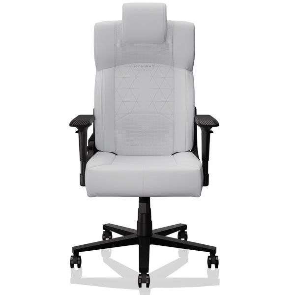 English Elm Bestoffice Ergonomic High Back Pu Leather Gaming Chair with Lumbar Support and Flip Arms W1739P327839
