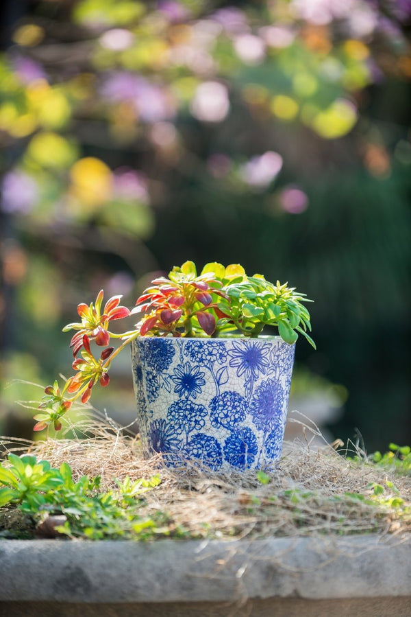 English Elm Set of 4 Terracotta Planters Distressed Blue White Glaze Antique Ceramic Style W2078P495142