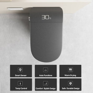 English Elm Unique Intelligent One-piece Toilet with Integrated Bidet Heated Seat and Auto Lid Grey W3133P414566